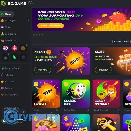 Explore the World of BC.Game The Premier Crypto Casino